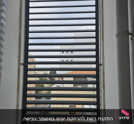 רשת מתכת על חלון למניעת כניסת יונים